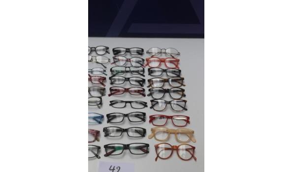 24 diverse leesbrillen